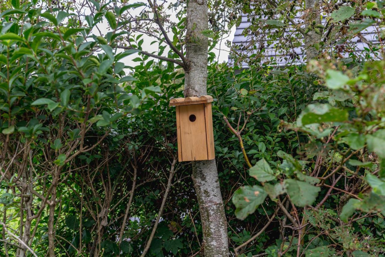 Vakantiewoning De Bleekersvallei De Koog  Exteriér fotografie