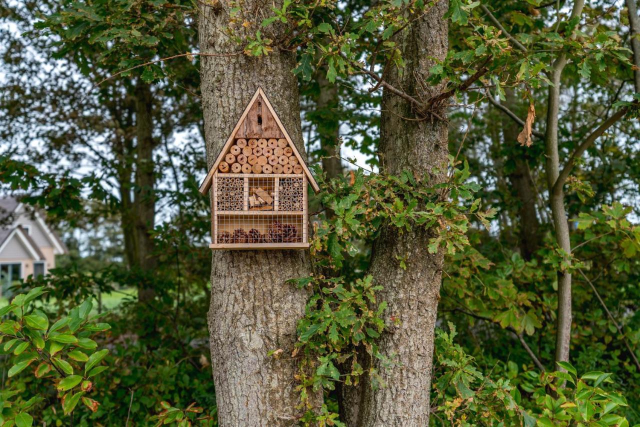 Vakantiewoning De Bleekersvallei De Koog  Exteriér fotografie
